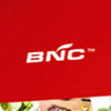 BNC�����O(sh��)Ӌ