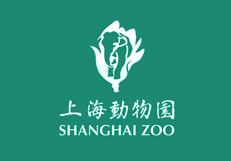 媒體對象