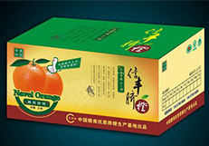 媒體對象